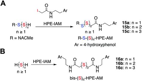 Enhancing cellular sulfane sulfur through β glycosidase activated