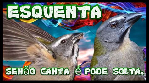 Esquenta Trinca Ferro P S Muda Seu Trinca Ferro Frio Vai Canta Agora