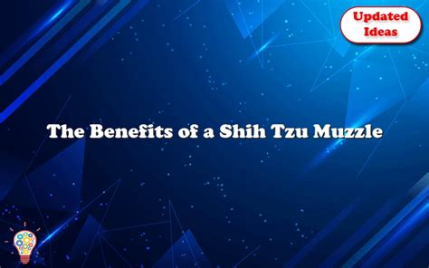 The Benefits Of A Shih Tzu Muzzle - Updated Ideas