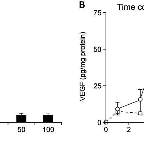 Dose Response And Time Course Of The Vegf Expression From The Naked Dna