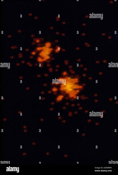 False Colour X Ray Image Of Alpha Centauri Showing The Two Brightest