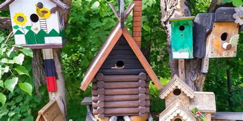 Providing Water For Birds Pine Hills Nursery