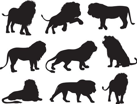 lion silhouettes set 11816433 Vector Art at Vecteezy