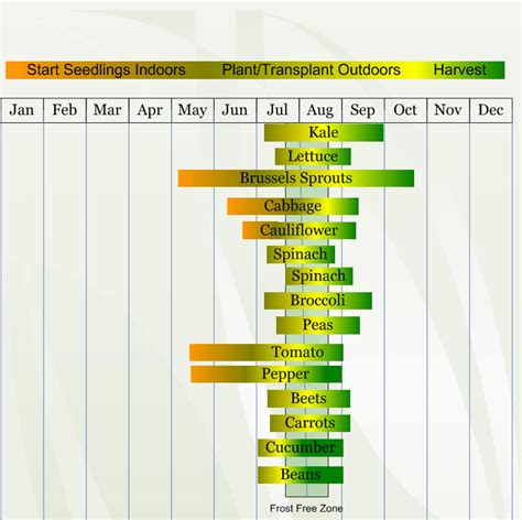 Zone 3 Vegetable Planting Calendarschedule