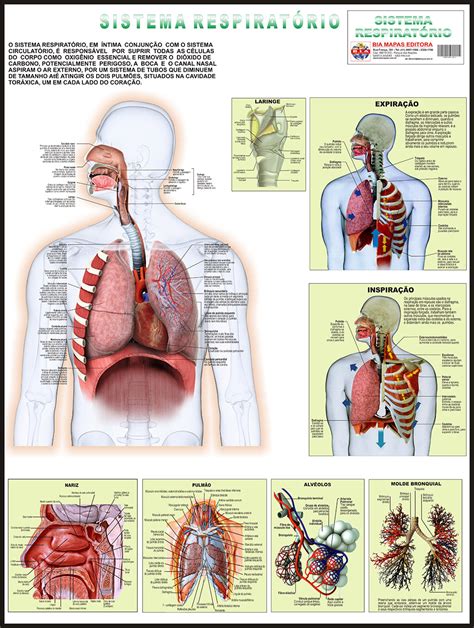 Sistema Respirat Rio Bia Mapas