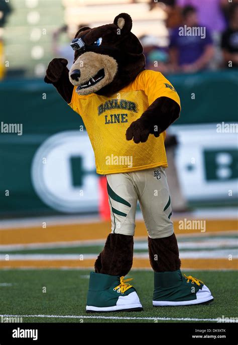 Baylor bears mascot hi-res stock photography and images - Alamy