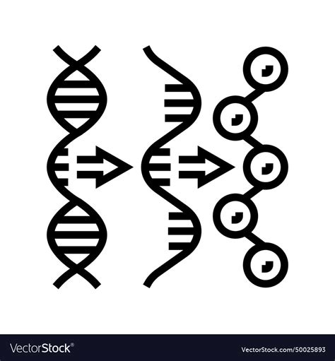 Gene Expression Cryptogenetics Line Icon Vector Image