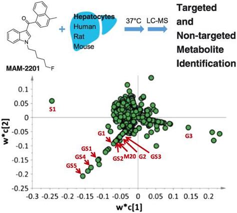 Targeted And Nontargeted Metabolite Identification Of Mam In