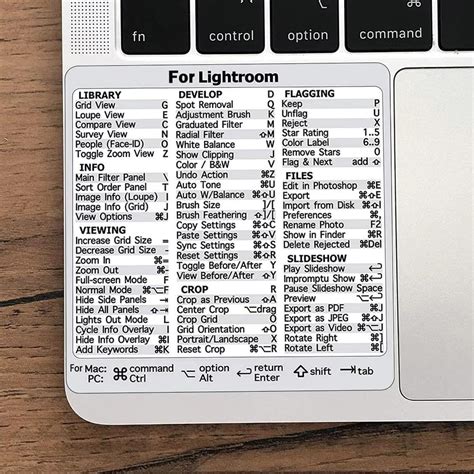 Amazon For Word Excel Reference Keyboard Shortcut Sticker Pc