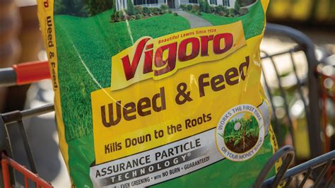 Vigoro Weed And Feed An All In One Lawn Care Solution Todays Homeowner