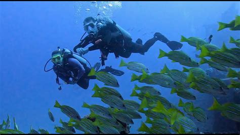 South Shore Of Oahu Hawaii Scuba Diving 10 Dives Wrecks And Reefs Youtube