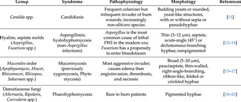 Clinical Classification Of Fungi Download Scientific Diagram