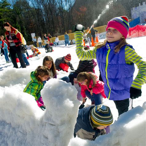 Stone Mountain Christmas