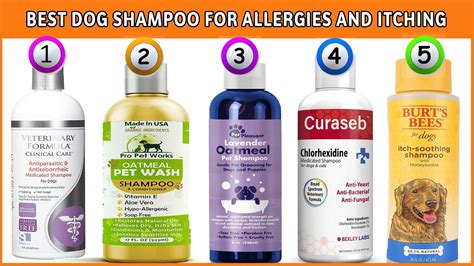 Best Allergy Shampoo for Dogs - Dereeze