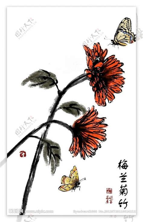 鲜花蝴蝶背景图片素材 编号16567609 图行天下