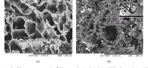 Figure From The Fabrication And Characterization Of Pcl Rice Husk