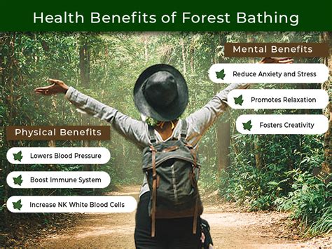 Forest Therapy: Physical and Mental benefits - Forest Bathing Finder