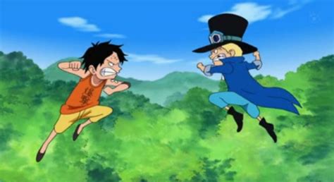 Imagen Ace Vs Sabo One Piece Wiki Fandom Powered By Wikia