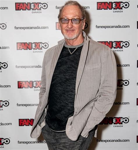 Robert Englund Age, Net Worth, Wife, Family and Biography (Updated 2023