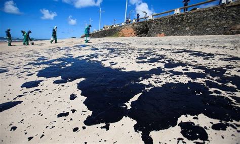 Marinha Informa Que J Retirou Toneladas De Leo Em Praias No