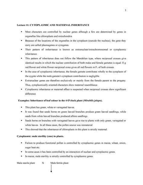 Lecture Sex Determination Lecture Cytoplasmic And Maternal