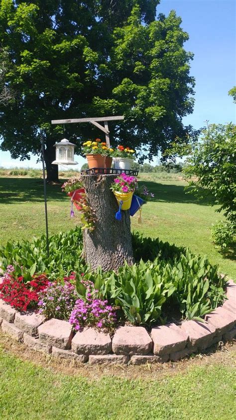 Tree Stump Decor Tree Stump Planter Planter Stand Tree Stumps