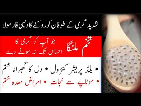 Top Amazing Health Benefits Of Basil Seeds Tukh Malanga Ke Fayde