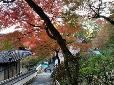 2022 秋の大興善寺風景｜大興善寺（公式ホームページ）