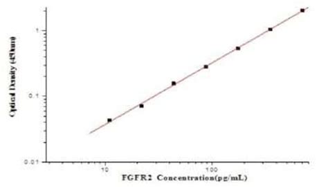 Novus Biologicals Human FGFR2 ELISA Kit Colorimetric 1 Kit