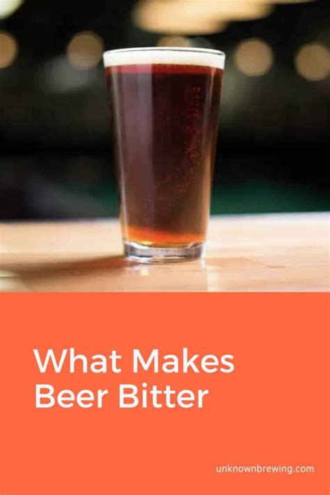 Unlocking the Mystery of What Makes Beer Bitter