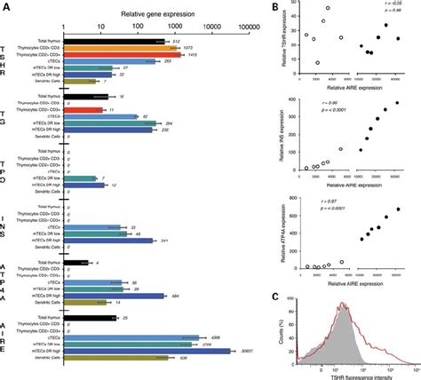 TSHR Expression In Thymic Cell Populations A Expression Of TSHR