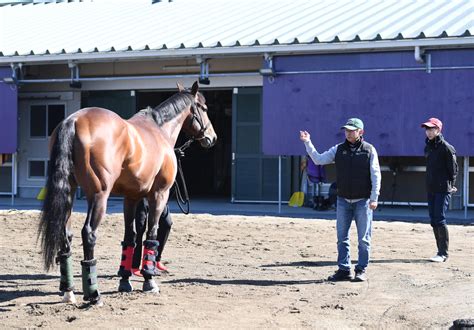 エフフォーリア美浦トレセンを退厩、横山武史騎手が号泣で別れ「本当に感謝しかありません」 競馬写真ニュース 日刊スポーツ