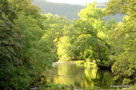 Chesters North Tyne Wild Swimming Outdoors In Rivers Lakes And