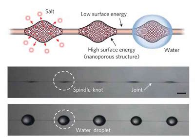 Microfluidic Future Spin Silk Like A Spider No Legs Required Just