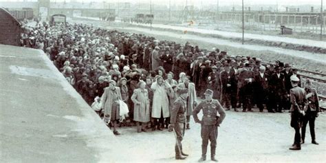 Lalbum Dauschwitz Ou La Shoah Vue Par Les Nazis