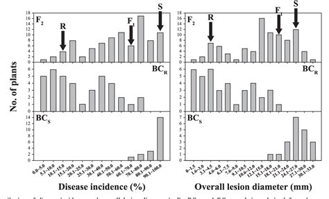 Figure 1 From A Major Recessive Gene Associated With Anthracnose