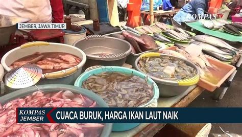 Cuaca Buruk Harga Ikan Laut Di Tpi Puger Naik Video Dailymotion