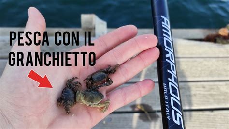 Pesca All Orata Con Il Granchio Congelato Se Vuoi Fare Selezione Usa