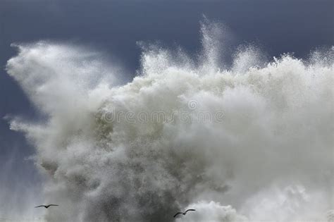 Grande Onda Foto De Stock Imagem De Baliza Tempestade