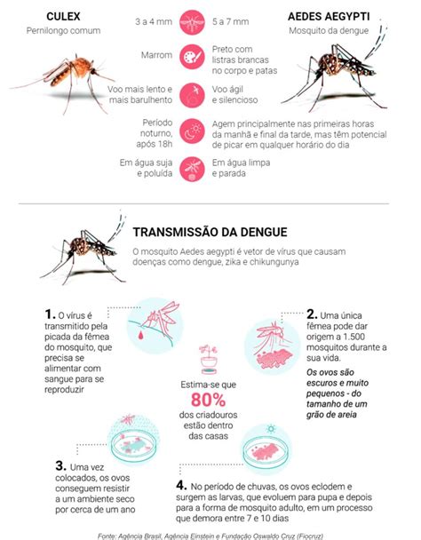 Dengue Aprenda A Identificar E Evitar O Mosquito Fenaclubes