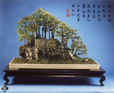Top 10: Chinese Penjing trees - Bonsai Empire