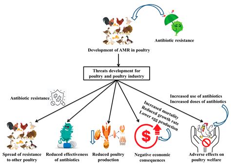 Vaccines Free Full Text A Comprehensive Review On Bacterial