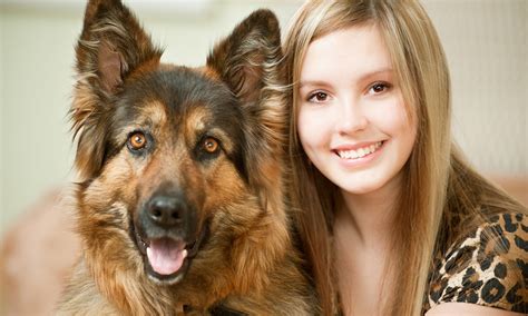 5 Different Types Of German Shepherd Breeds & Their Features