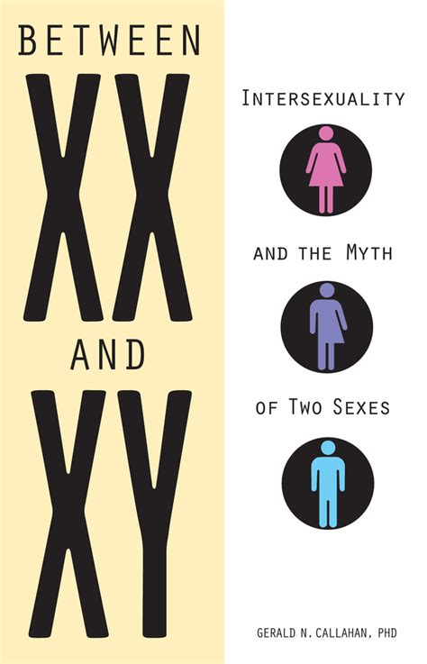 Between Xx And Xy By Gerald Callahan Book Read Online