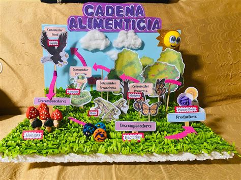 IDEA Maqueta De La Cadena Alimenticia En 2024 Manualidades Escolares