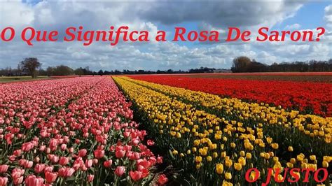 O Que Significa A Rosa De Saron Youtube