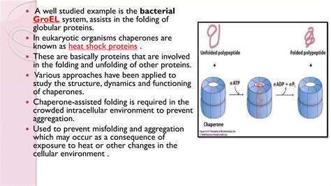 Protein Folding-biophysical and cellular aspects, protein denaturation | PPT