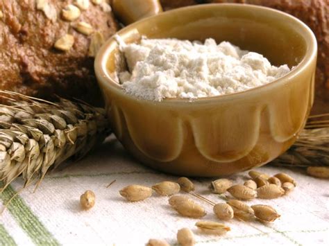 Спец и Я, Компания - Растительные белки и клетчатки