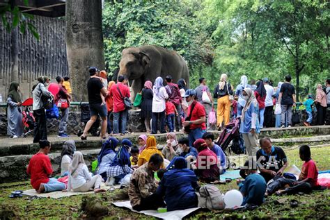 60 Ribu Warga Kunjungi Taman Margasatwa Ragunan Pada Libur Sekolah