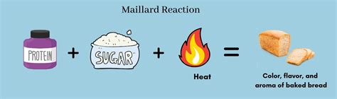 Maillard Reaction In Food Online | www.aikicai.org